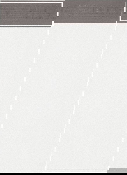 Courier Mailing Envelope: 11